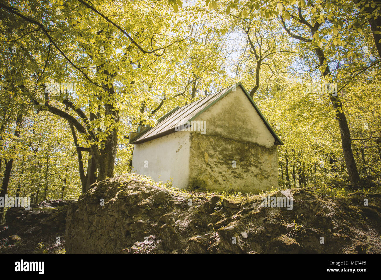 Kleines Haus im Wald Stockfoto