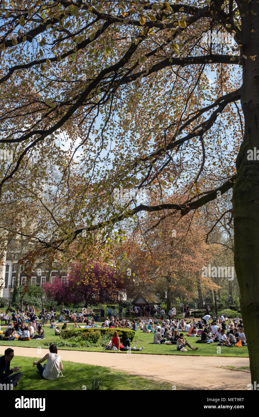 UCL Studenten in Gordon Square, Bloomsbury, London UK in der Frühlingssonne Stockfoto