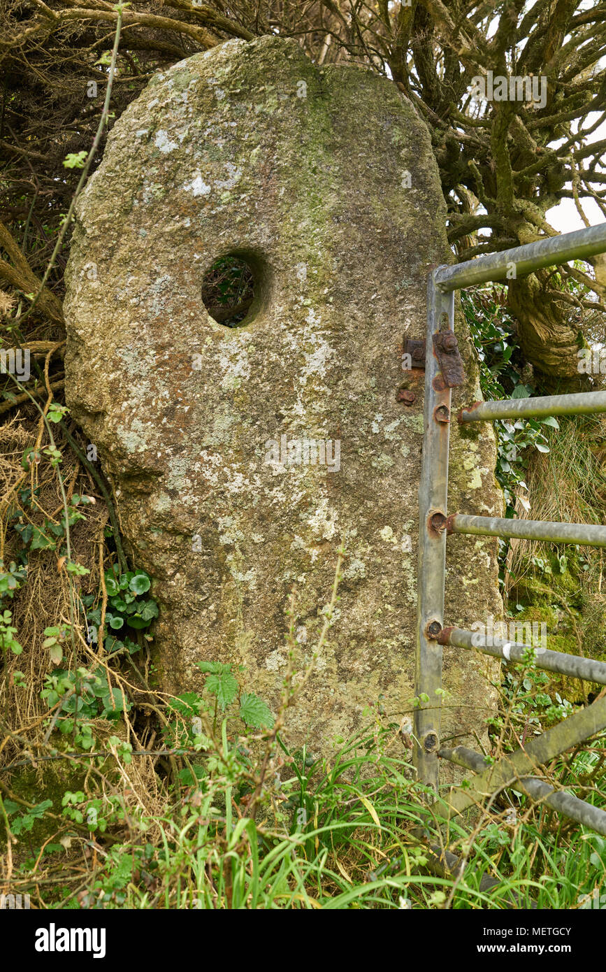 Durchlöcherte Stein in der Nähe von Merry Maidens Stone Circle eine Cornwall Stockfoto