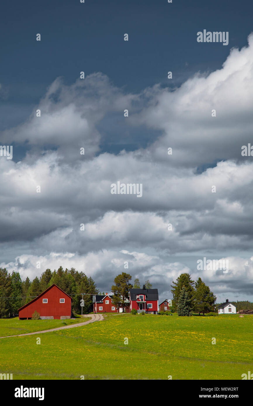 Ländliche schwedische Dorf mit blühenden Wiesen an einem sonnigen Sommertag unter einem blauen Himmel mit hoch aufragenden cumulus Wolken, Stockfoto