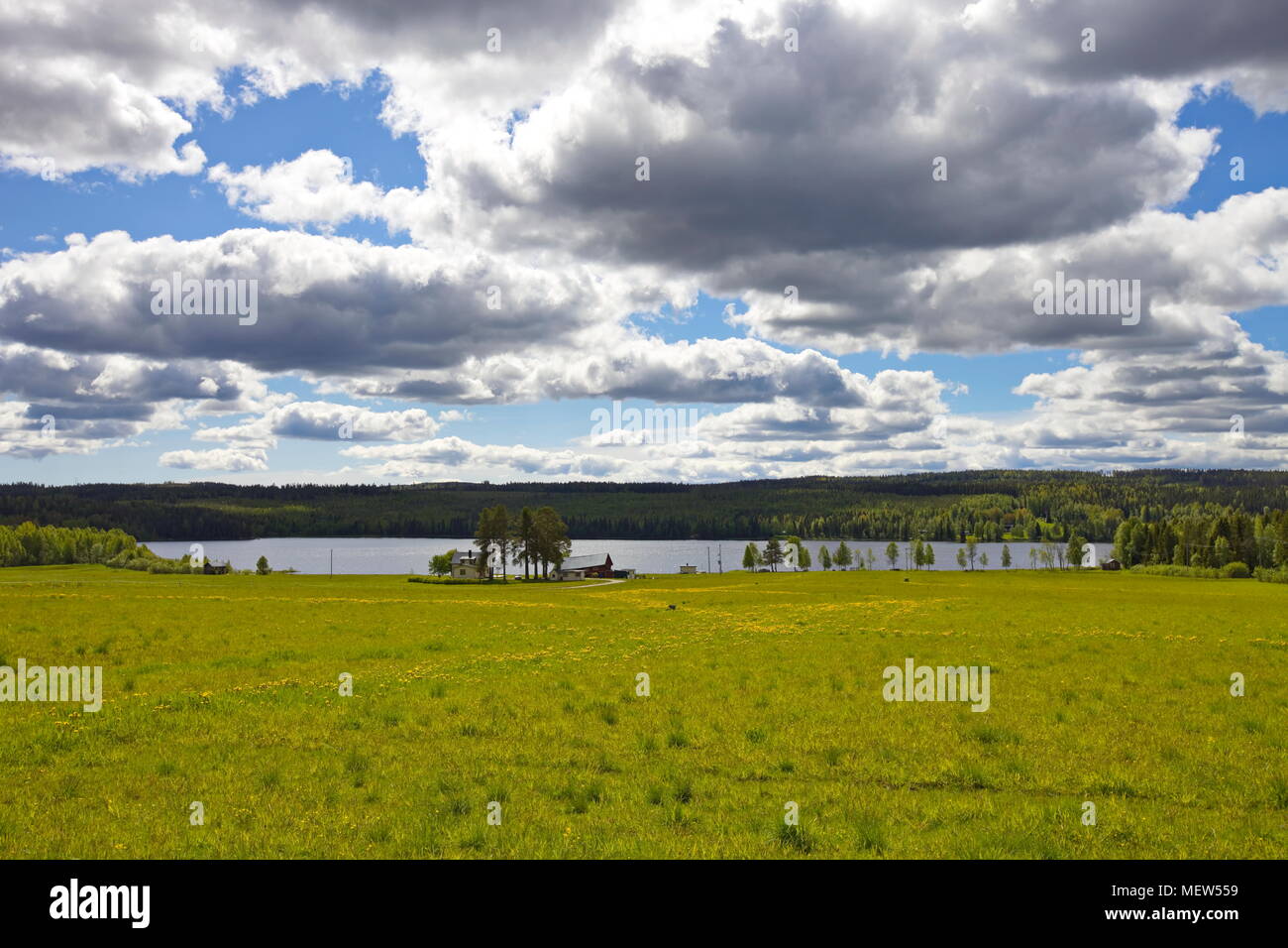 Ein Bauernhof liegt am Ufer eines Sees durch blühende Wiesen und Wald an einem sonnigen Sommertag umgeben. Stockfoto