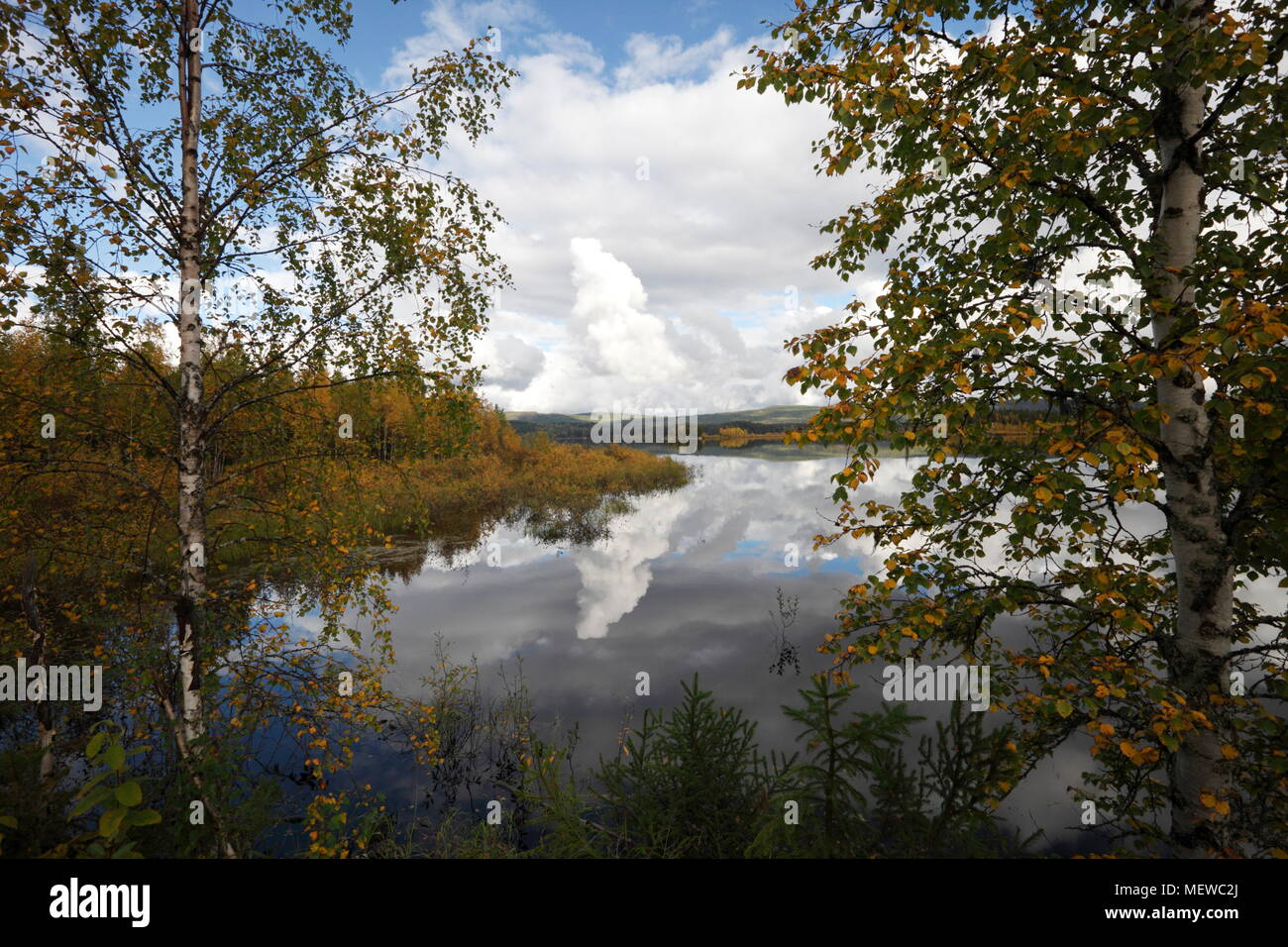 Cumulus Wolken hoch über einem See im Herbst. Der Wald am Ufer ist in der noch Wasser wider. Stockfoto