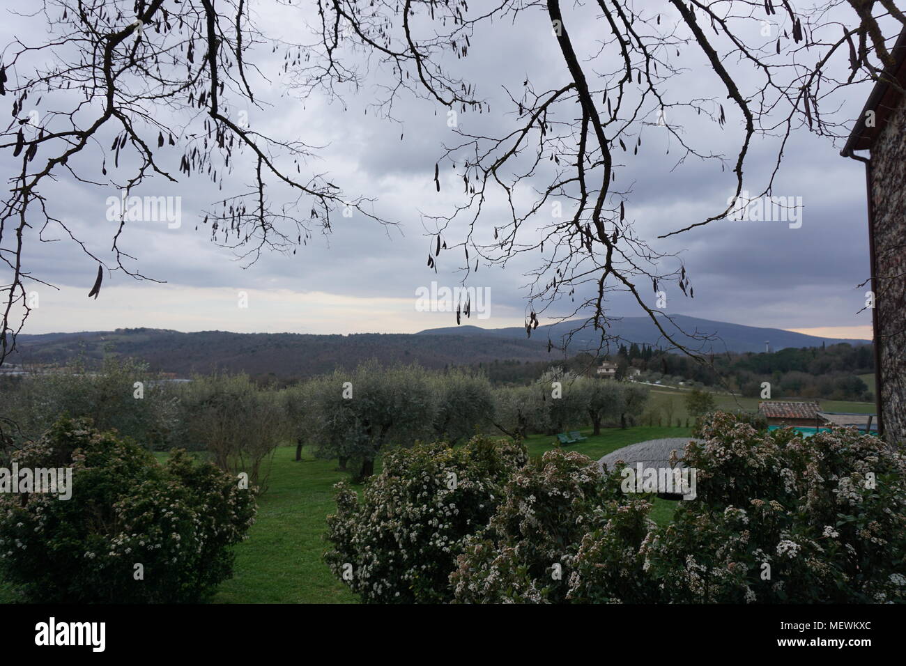 Die Hügel und Weinberge der Toskana, Toskana, Italien Stockfoto