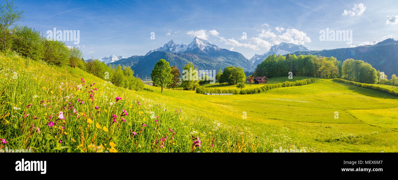 Schöne Aussicht auf die idyllische Bergkulisse der Alpen mit blühenden Wiesen und schneebedeckten Berggipfel an einem schönen sonnigen Tag mit blauem Himmel im Frühjahr Stockfoto