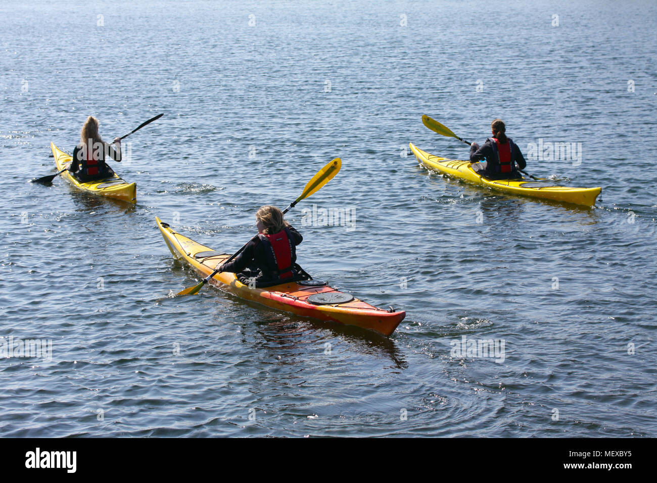 Gruppe von kayaker Paddeln im Kajak durch das Meer rudern, Wasser aktiv Sport und Freizeit, Kajak Stockfoto