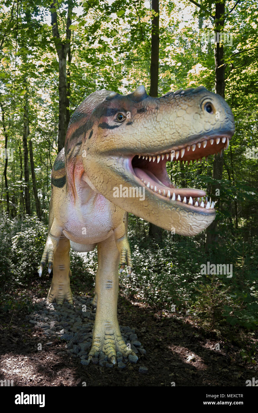 Skulptur von Dinosaur (tyrannosaurus) im Leben. Stockfoto