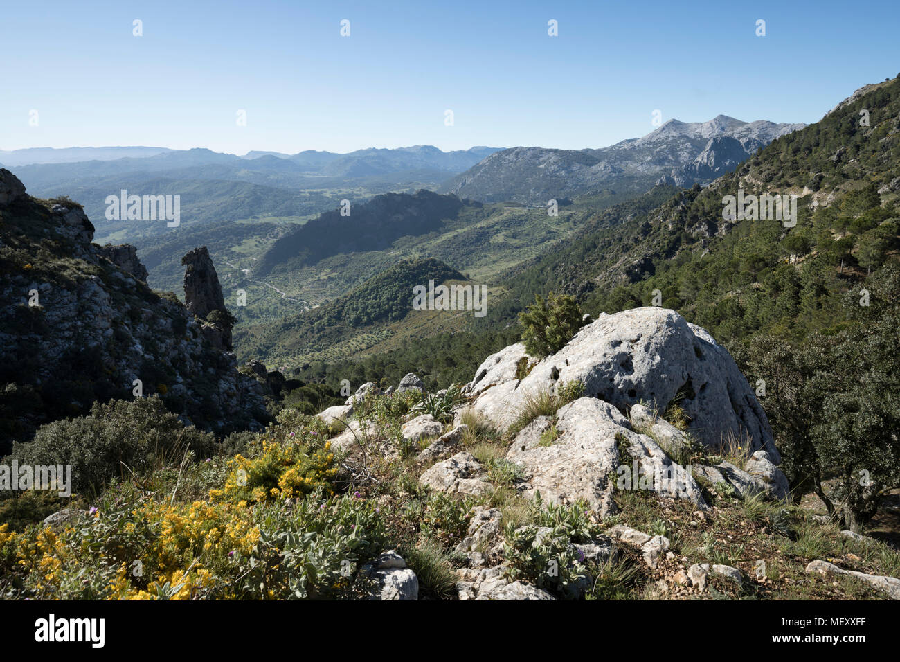 Die Gipfel von El Simancon und El Reloj und das Valle de Gaduares vom Mirador del Puerto de las Palomas, Sierra de Grazalema Naturpark Stockfoto
