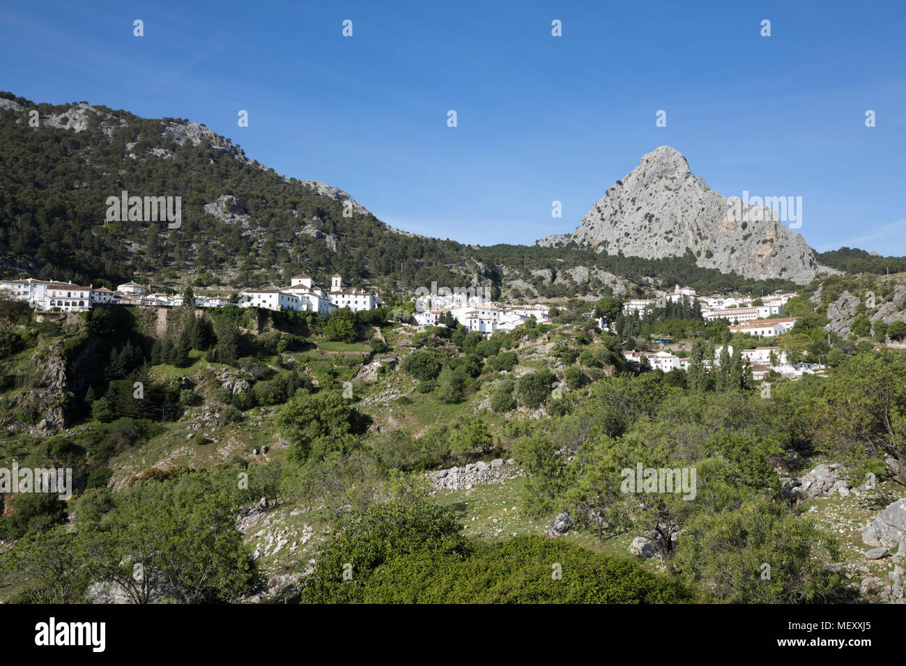 Blick auf die andalusischen weißen Dorf zwischen Bergen, Grazalema, Naturpark Sierra de Grazalema, Andalusien, Spanien, Europa Stockfoto