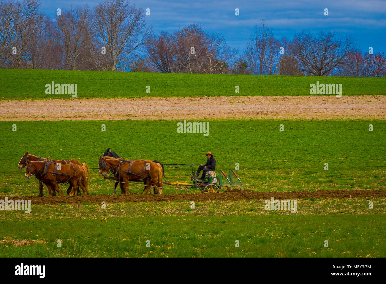 Im Freien von nicht identifizierten Amish Landwirt mit Pferden zu den antiken im Feld pflügen. Sie ihre eigene Nahrung ohne Technologie produzieren Stockfoto