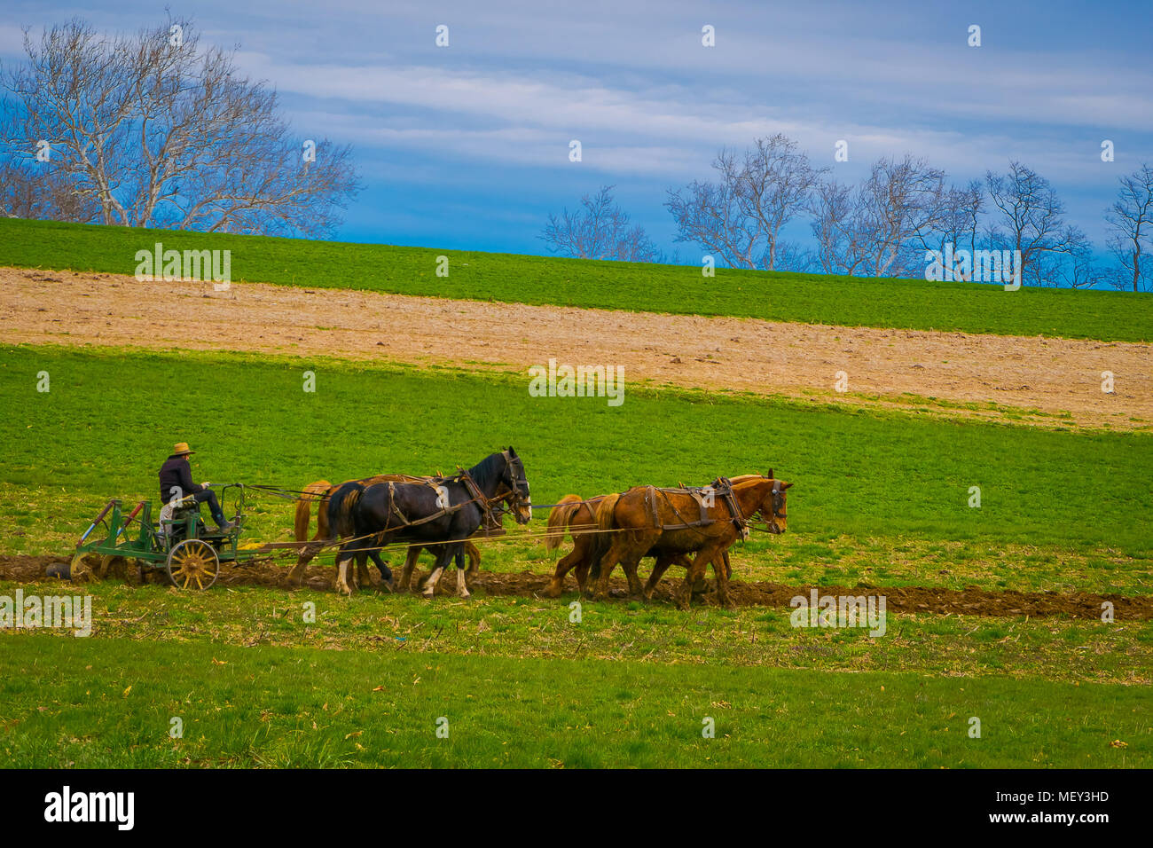 Im Freien von nicht identifizierten Amish Landwirt mit Pferden zu den antiken im Feld pflügen. Sie ihre eigene Nahrung ohne Technologie produzieren Stockfoto