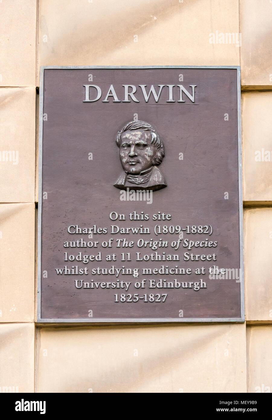 Gedenktafel an der Wand des National Museum of Scotland, Edinburgh, Schottland, UK von Charles Darwin, der als Medizinstudent an diesem Ort lebte Stockfoto