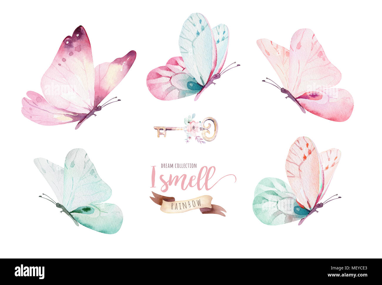 Aquarell Bunte Schmetterlinge Auf Weissem Hintergrund Blau Gelb Rosa Und Rot Butterfly Spring Abbildung Stockfotografie Alamy