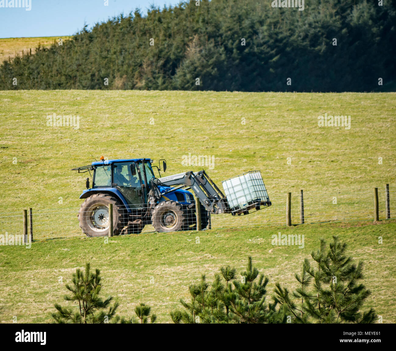 Bauer, der eine Quicke Traktor auf einem Hügel Track eine Kunststoff Wassertank, Scottish Borders, Schottland, Großbritannien Stockfoto