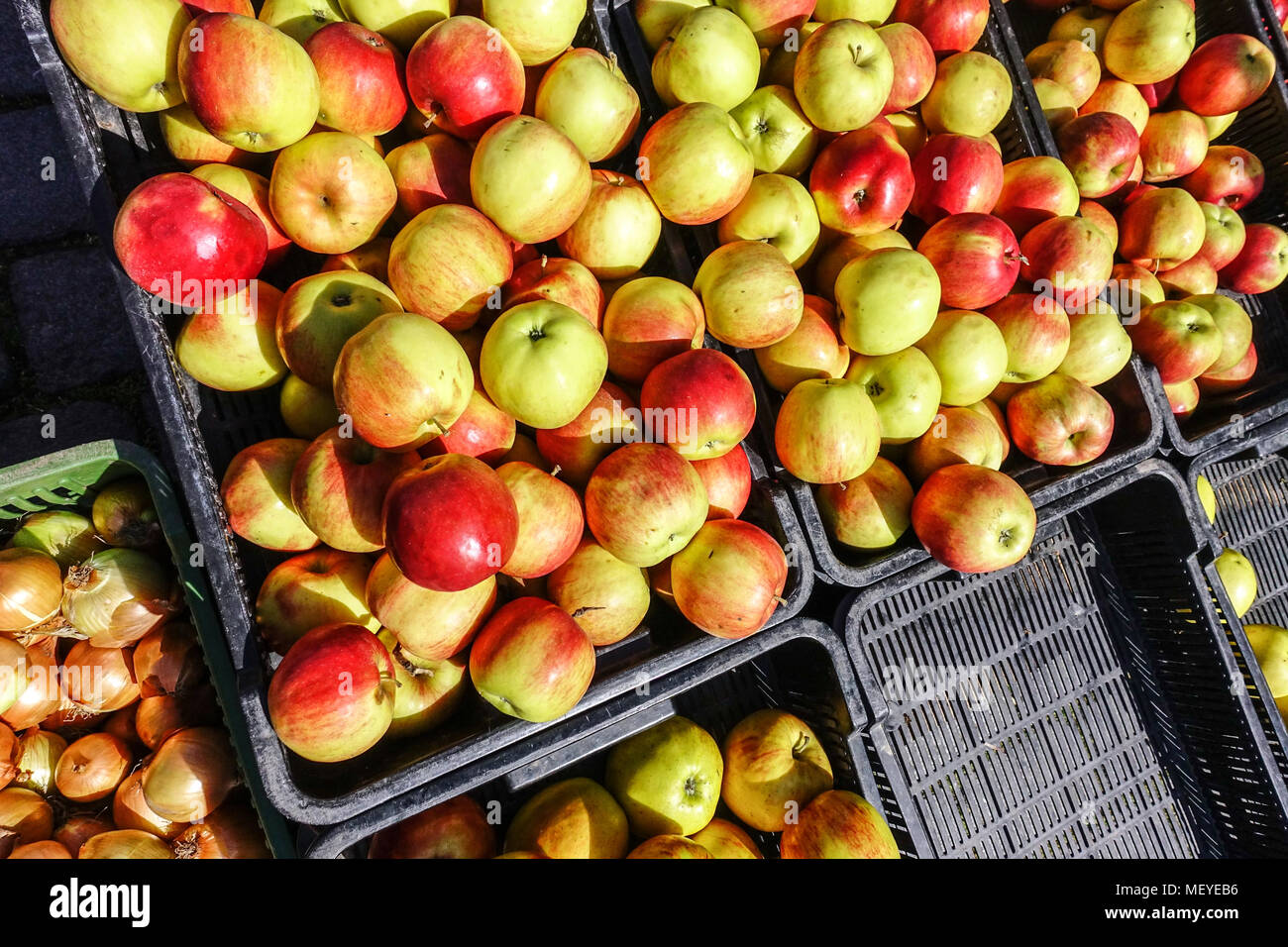 Schöne Äpfel in Kisten auf den Markt Stockfoto