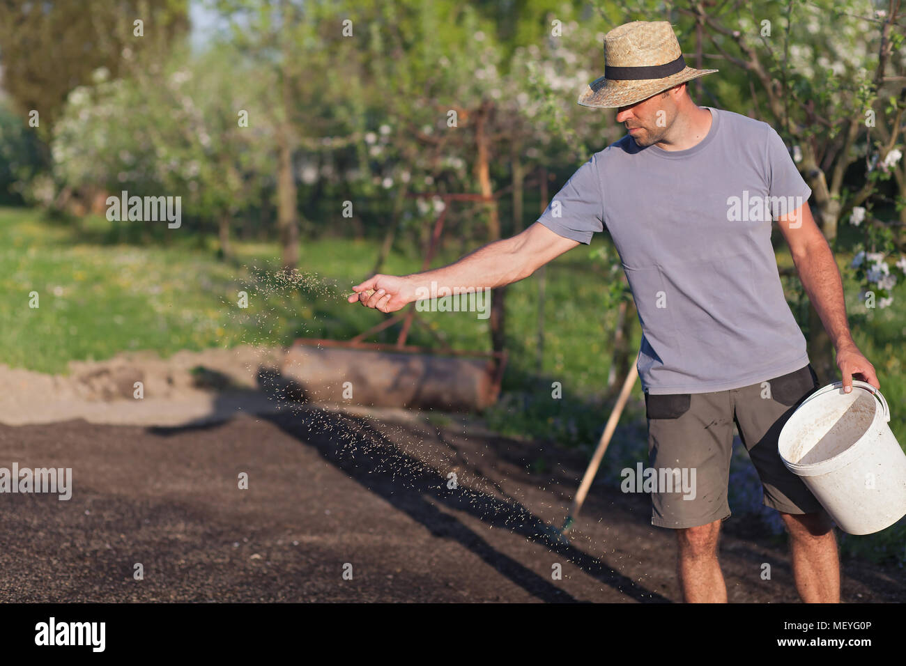 Der Gärtner ist Verlegen neue Gras. Einrichtung des Rasens (Flacher DOF