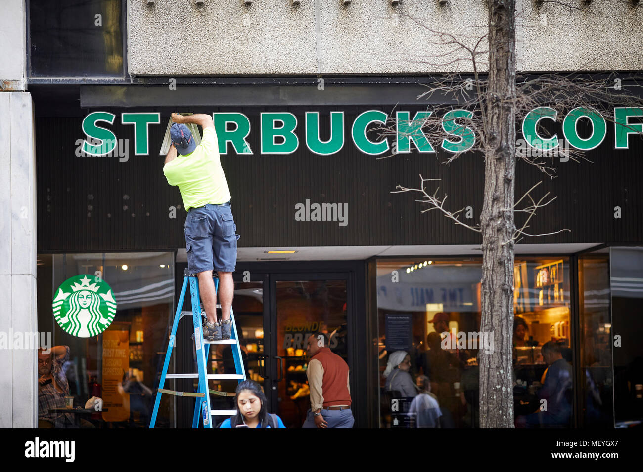 Atlanta, Hauptstadt des US-Bundesstaates Georgia, ein Mann auf eine Leiter Ersatz von Glühbirnen im Starbucks Coffee anmelden Stockfoto