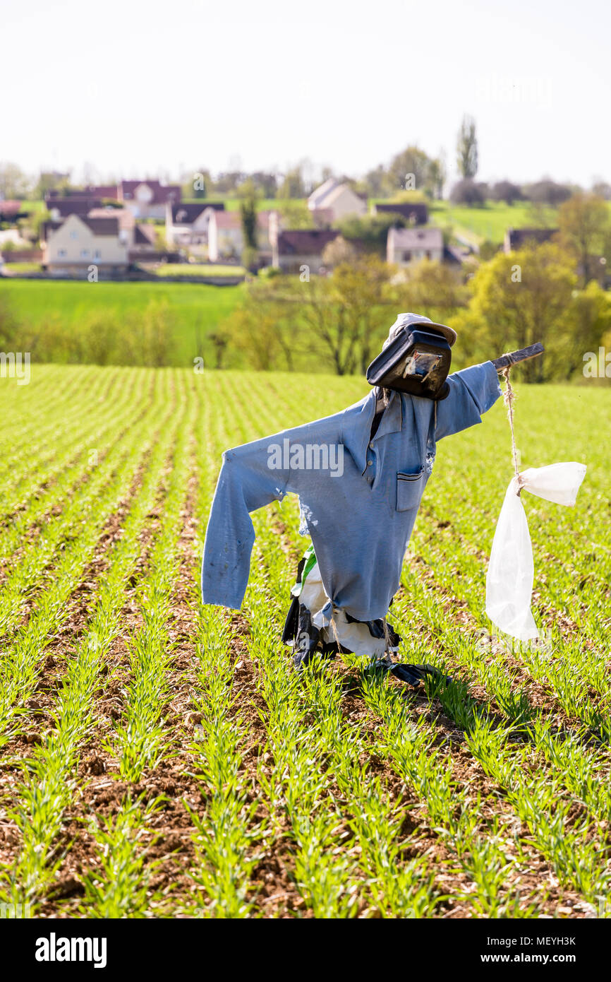 Eine Vogelscheuche in der Mitte der Furchen eines vor kurzem gesätes Feld in der französischen Landschaft mit der Häuser eines Dorfes im Hintergrund gepflanzt. Stockfoto