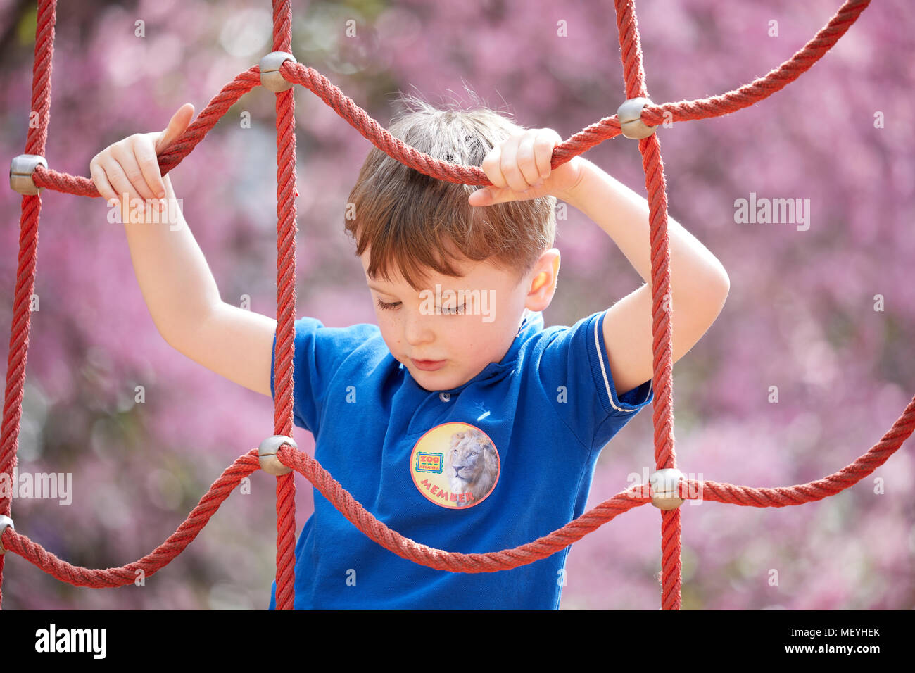 Atlanta, Hauptstadt des US-Bundesstaates Georgia, Atlanta Zoo Tierpark Jungen auf dem Spielplatz Seil Kletterwand Stockfoto