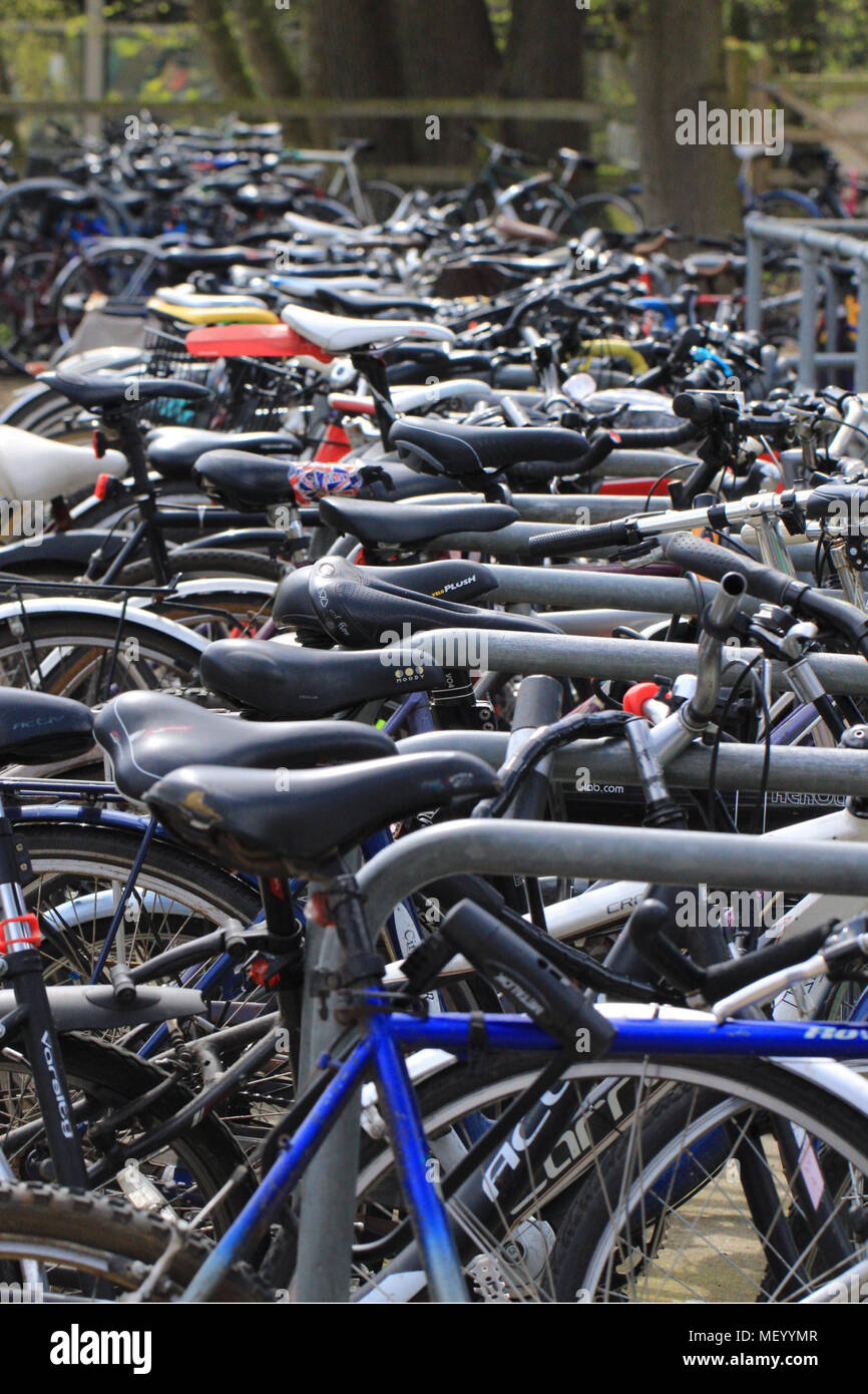 Fahrräder auf dem Campus der Universität in Großbritannien Stockfoto