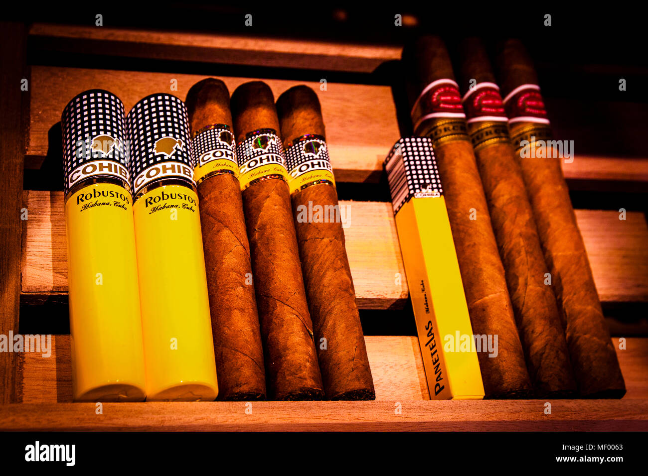 Zigarren im Hotel Blow Up 5050, Posen. Das Herz der Davidoff Lounge: Ein Schrank mit einer feinen Auswahl an Zigarren Stockfoto