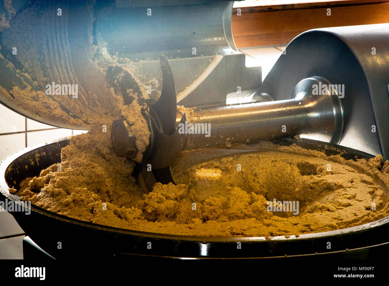 Frisch zermahltes Soja-Miso dampft, während es aus einer Mischmaschine in Peter Kochs Werkstatt in Geisingen, Deutschland, austritt. Die traditionelle japanische Würze wird hier aus Soja, Getreide und Meersalz hergestellt, das mit Koji-Schimmel sechs bis zwölf Monate oder länger fermentiert wird. Stockfoto