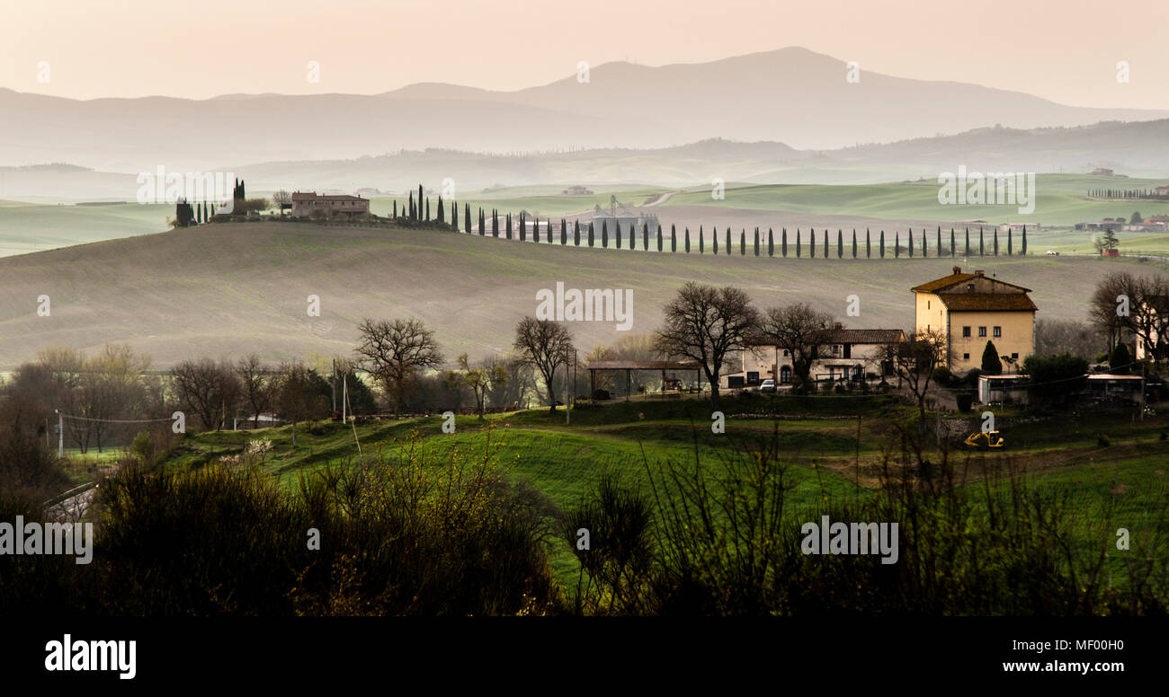Hügel, Zypressen, Felder, Entspannung ... Toskanische Landschaft im Frühling, grüne Felder, Zypressen und Olivenbäume, Wandern in der Toskana, Val d'orcia Italien, UNESCO-Weltkulturerbe Stockfoto
