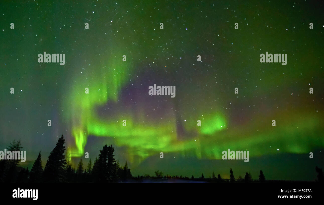 Erstaunlich Aurora Borealis beleuchtet den nördlichen Himmel im Wapusk National Park, Manitoba, Kanada. Stockfoto