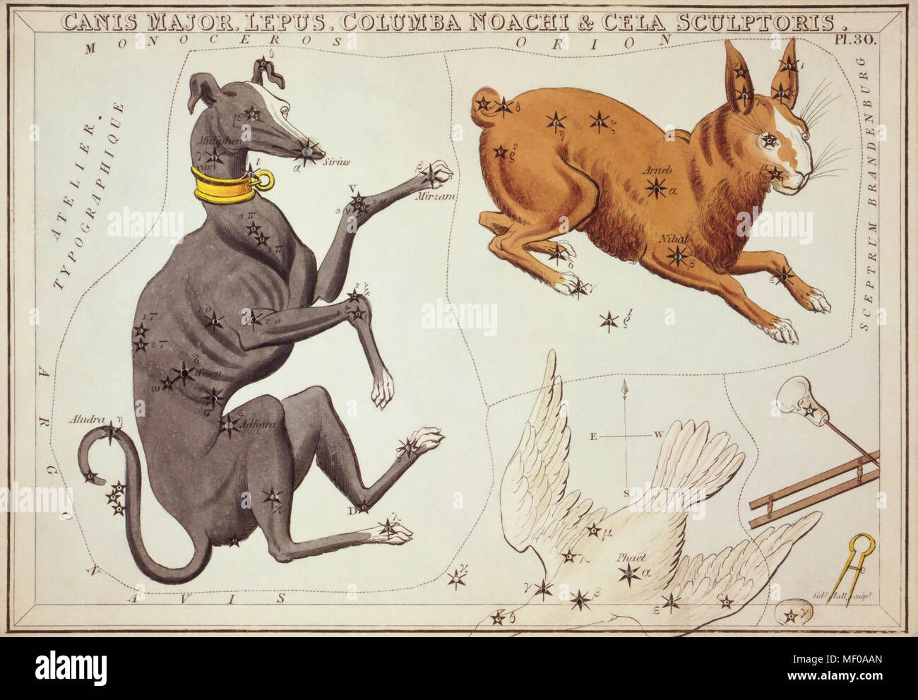 Canis Major, Lepus, Columba Noachi & Cela Sculptoris. Karte Nummer 30 von Urania's Mirror, oder einen Blick auf den Himmel, eines der 32 astronomischen Star Chart Karten von Sidney Hall graviert und publshed 1824. Stockfoto