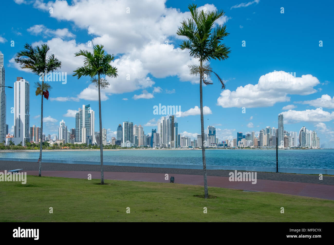 Palmen am Meer promenade an der Avenida Balboa mit Wolkenkratzer Skyline von Panama City Stockfoto