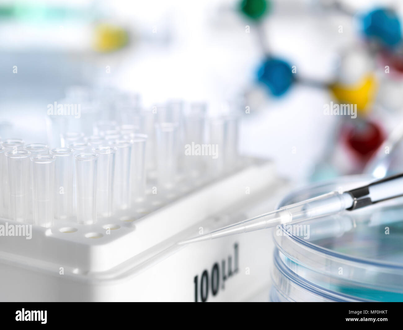 Pipette sitzen auf Petrischale mit einer Box von Pipetten in einem Labor Stockfoto