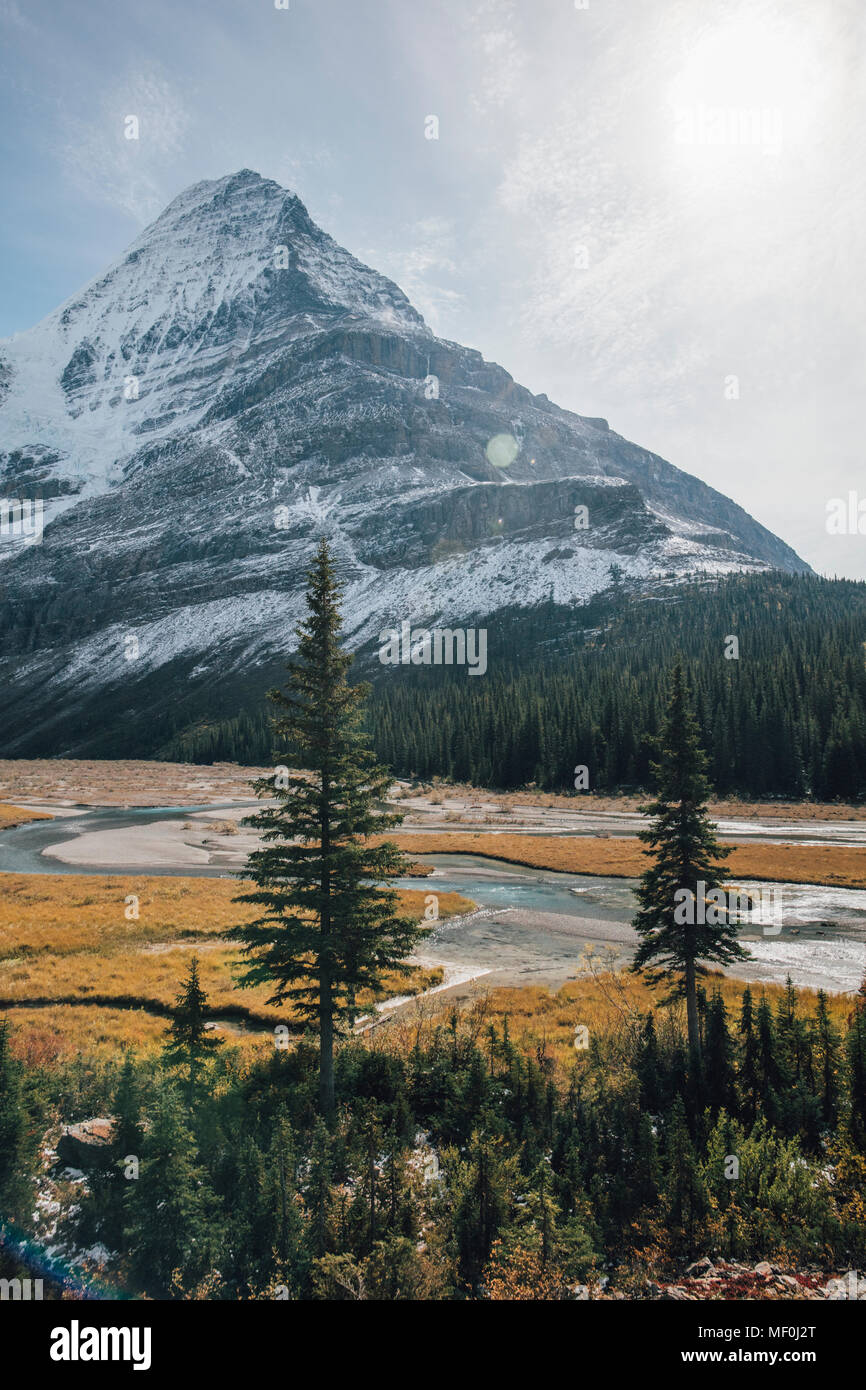 Kanada, British Columbia, Rocky Mountains, Mount Robson Provincial Park, Fraser-Fort George H, Nebel Gletscher, Robson River Stockfoto