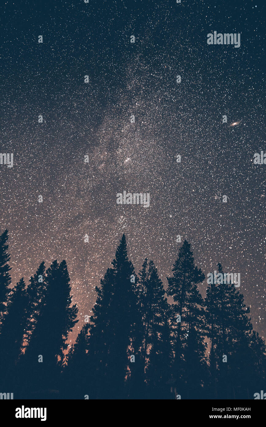 Kanada, British Columbia, Chilliwack, Sternenhimmel bei Nacht, Milchstraße Stockfoto