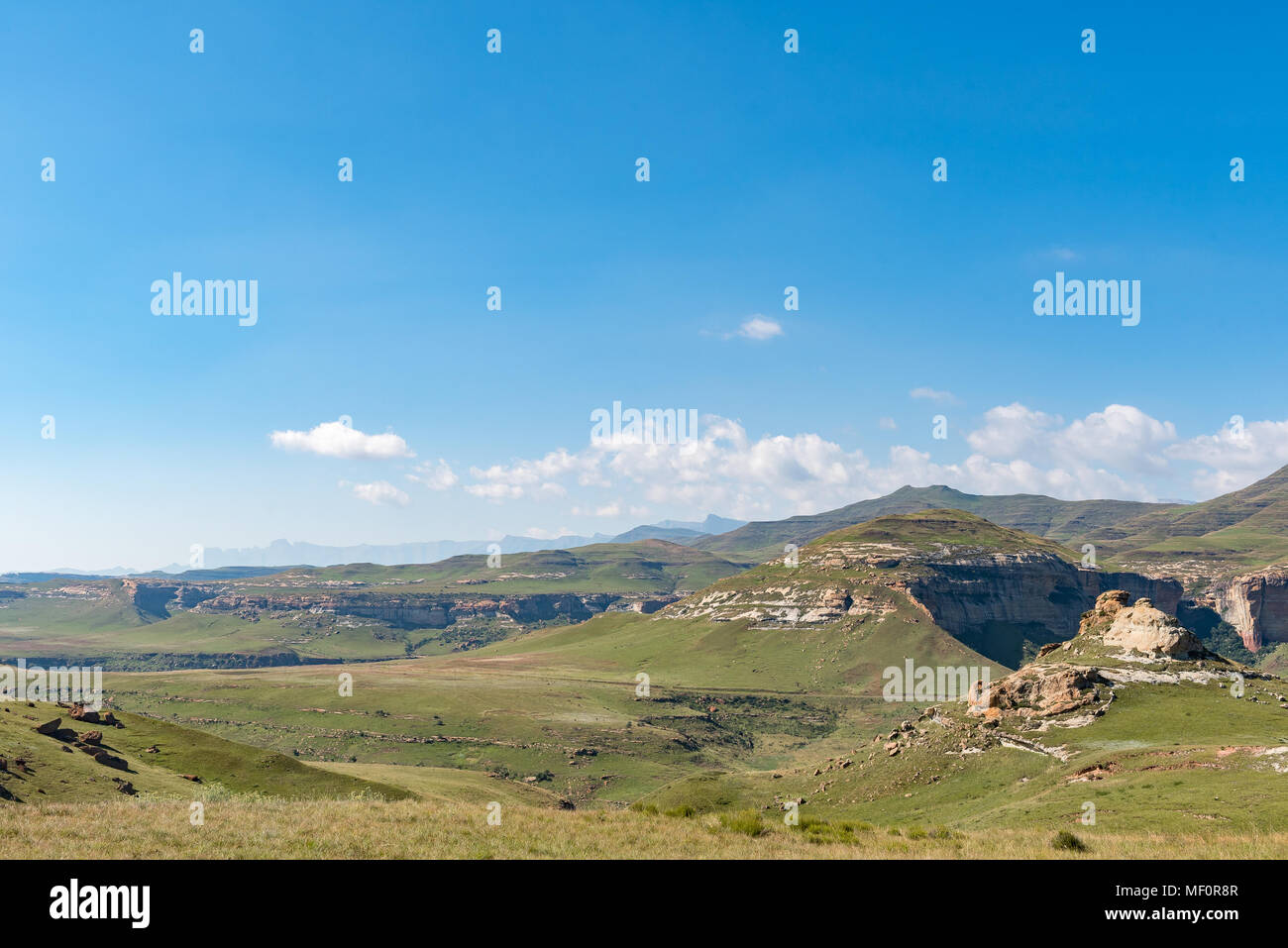 Der Blick vom Golden Gate mit dem Amphitheater in den Drakensbergen sichtbar in der Rückseite, linke und der Maluti Berge auf der rechten Seite Stockfoto