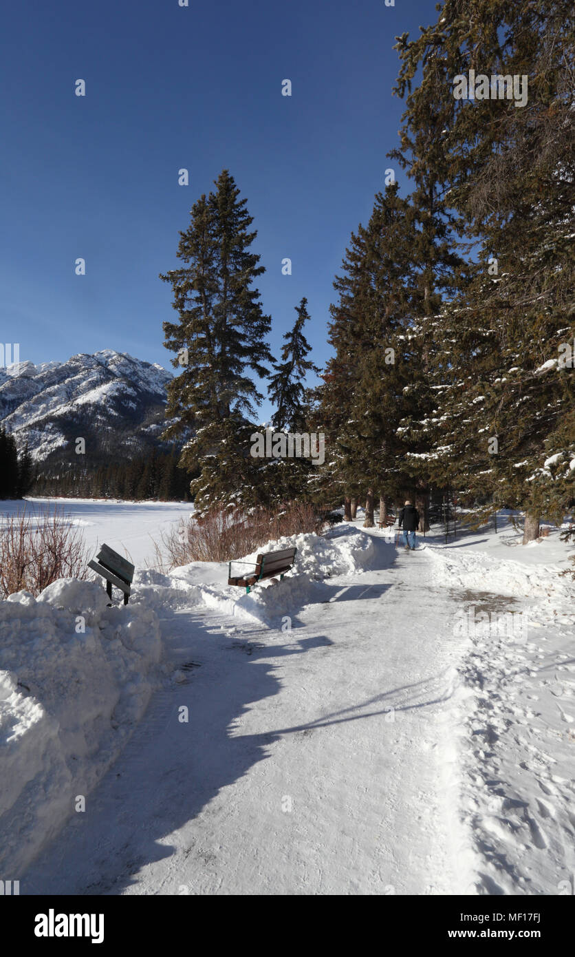 Winter in den kanadischen Rockies Banff (Dorf) Stockfoto