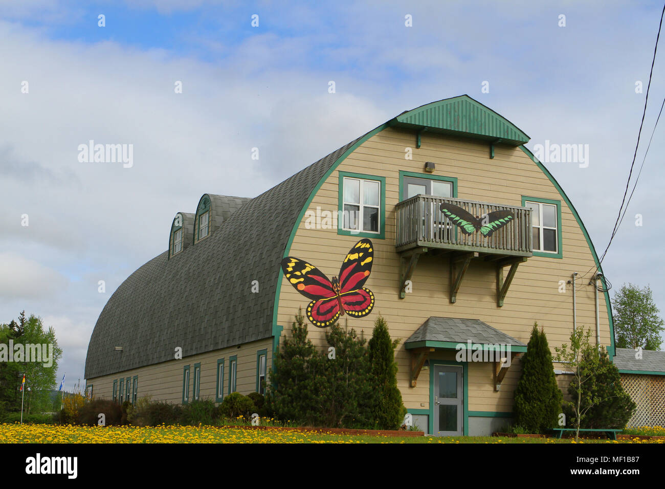 Schmetterlingshaus und Insektarium in der Nähe von Deer Lake, Neufundland, Kanada Stockfoto