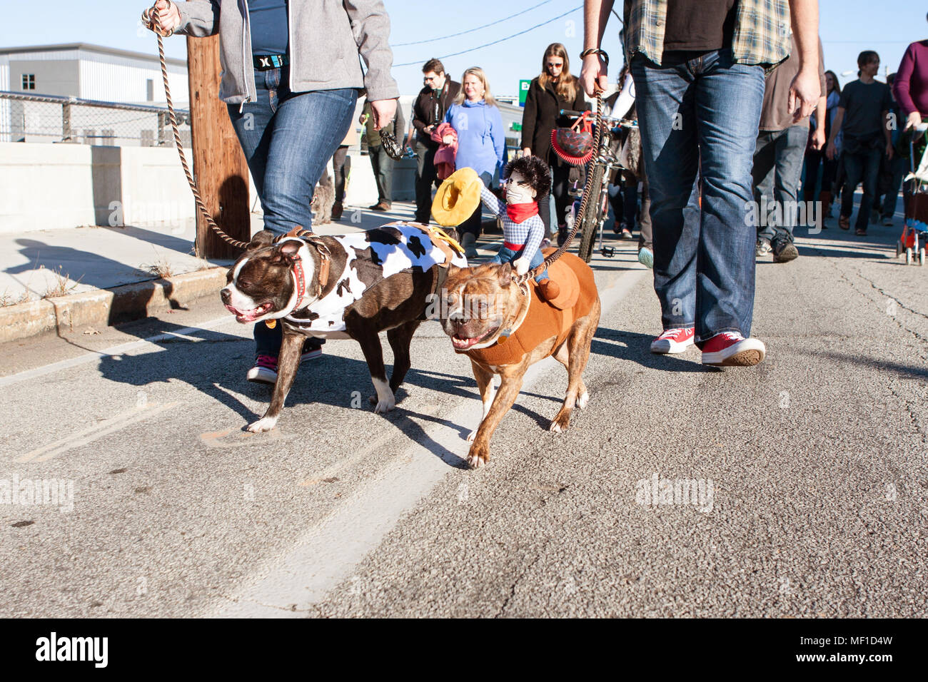 Hunde tragen Kostüme in einem Hund trachtenumzug am 5. Dezember 2015 in  Atlanta, GA Stockfotografie - Alamy
