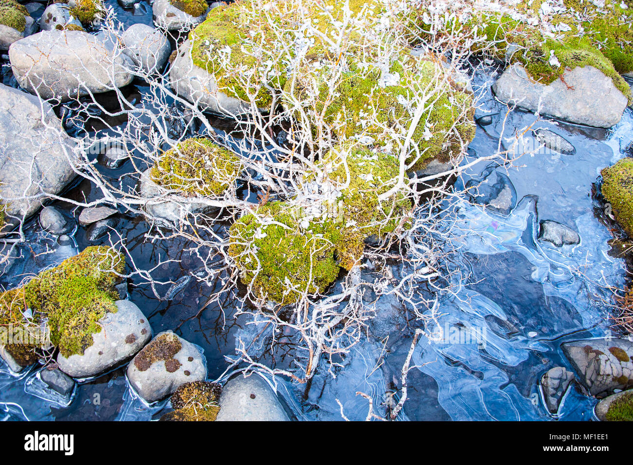 Eiskristalle Muster in einer semi-frozen Stream, Nationalpark Skaftafell Stockfoto