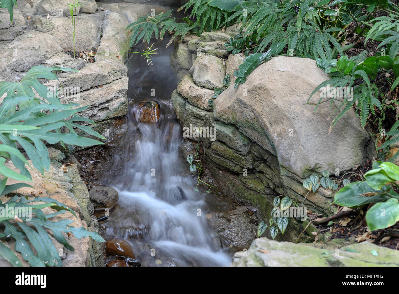Noch immer leben die Bilder der kleinen künstlichen Wasserfall auf der Anzeige an Phipps Conservatory Stockfoto