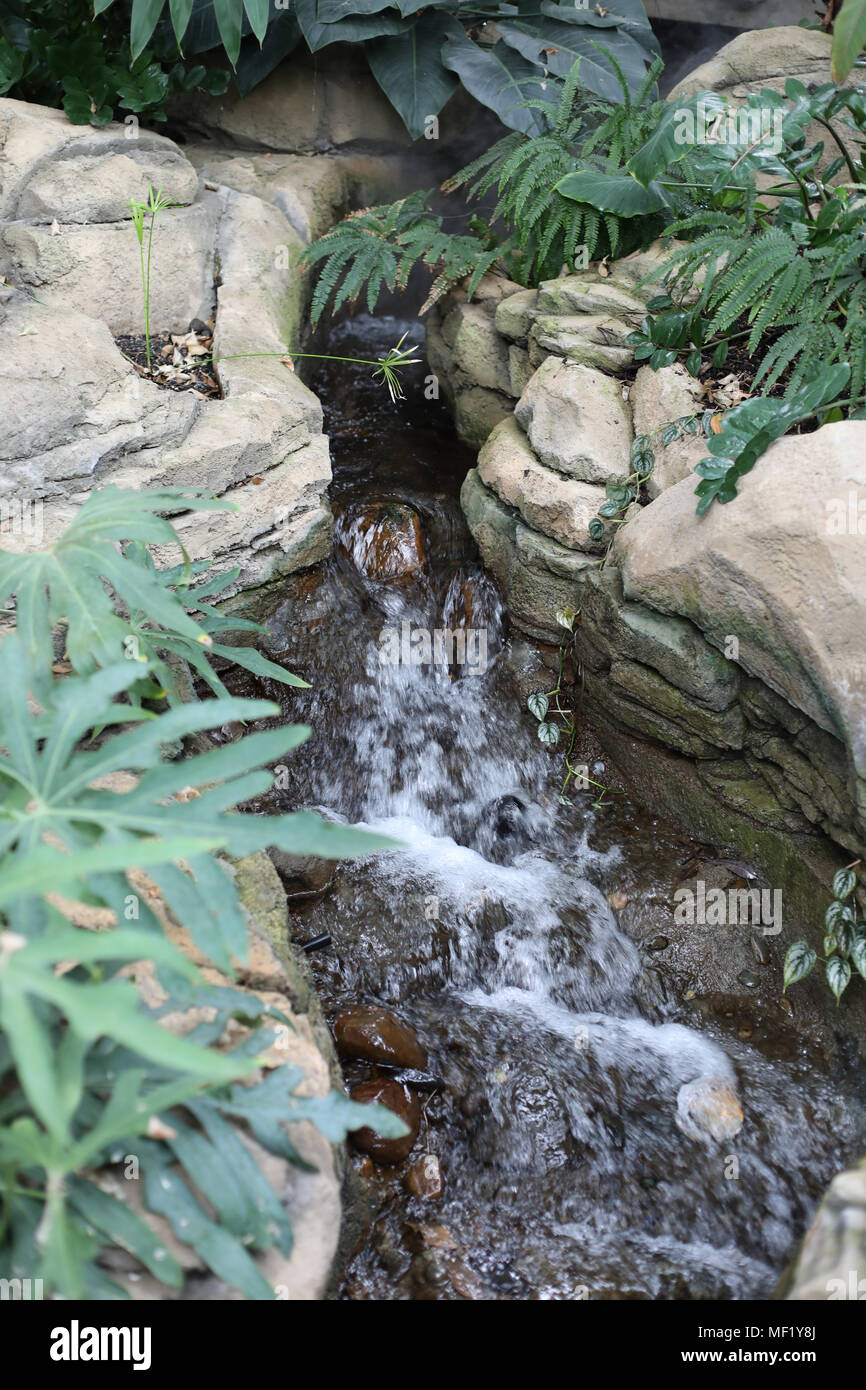 Noch immer leben die Bilder der kleinen künstlichen Wasserfall auf der Anzeige an Phipps Conservatory Stockfoto