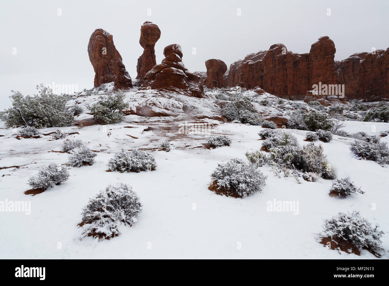 Neuschnee und verwitterter Baum im Garten Eden, Arches National Park, Moab, Utah Stockfoto