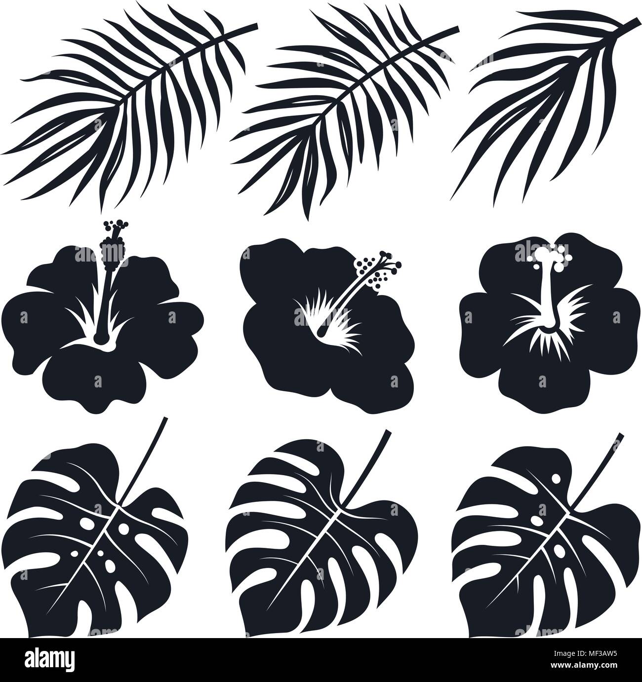 Tropische Blätter und Blüten. Monstera, Hibiskus, Kokospalme. Vektor Silhouetten Stock Vektor