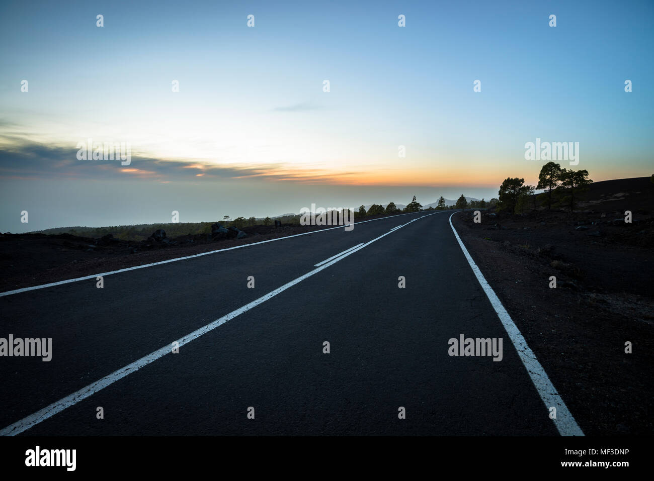 Spanien, Kanarische Inseln, Teneriffa, leere Straße in den Teide Nationalpark Stockfoto