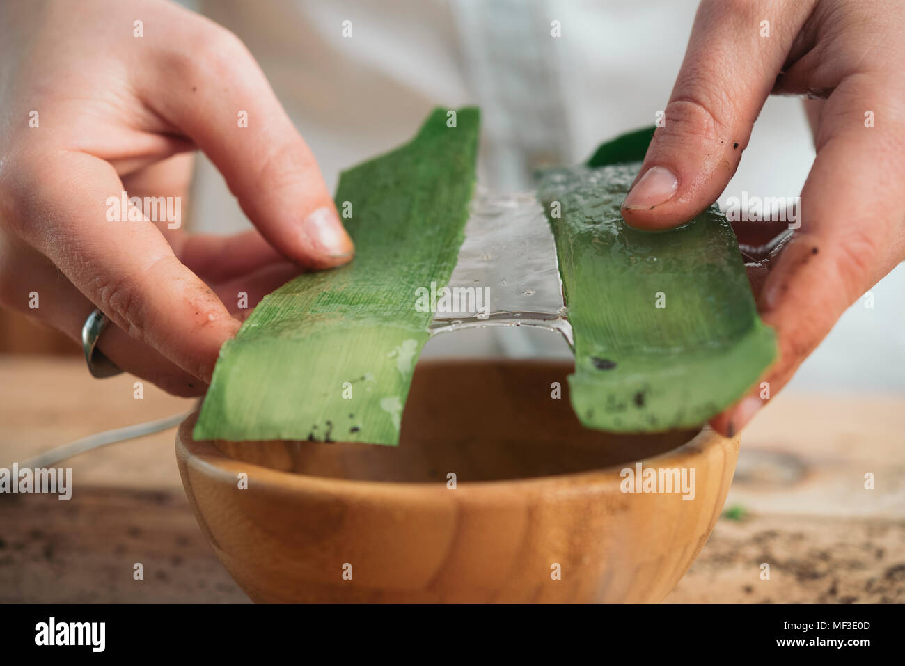 Close-up woman holding das Fruchtfleisch der Hülsen einer Aloe vera Stockfoto