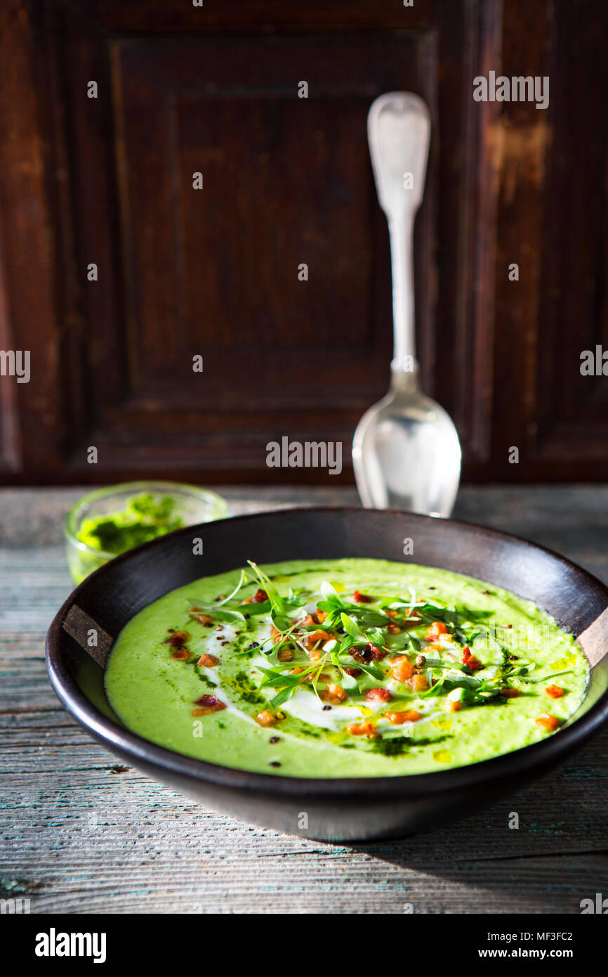 Creme von Avocado Suppe, Joghurt, Schinken, Minze pesto, frische Kräuter Stockfoto