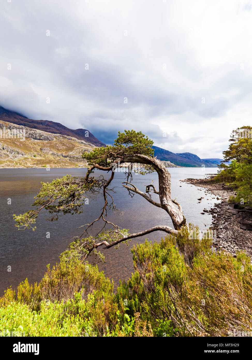 Vereinigtes Königreich, Schottland, Highland, Loch Maree, Süßwasser-See Stockfoto