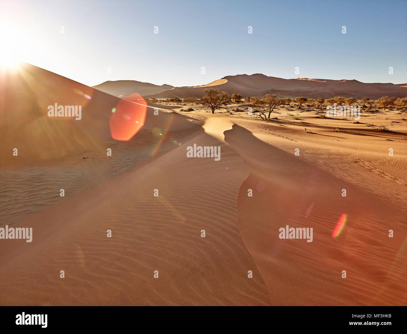 Afrika, Namibia, Namib-Naukluft-Nationalpark, Namib Wüste, Dünen der Wüste und Sonne Stockfoto