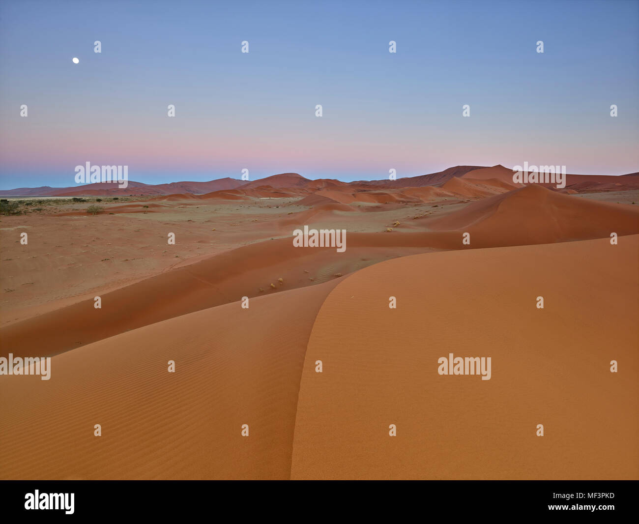 Afrika, Namibia, Namib-Naukluft-Nationalpark, Namib Wüste, Wüste, Dünen und Nachleuchten Stockfoto