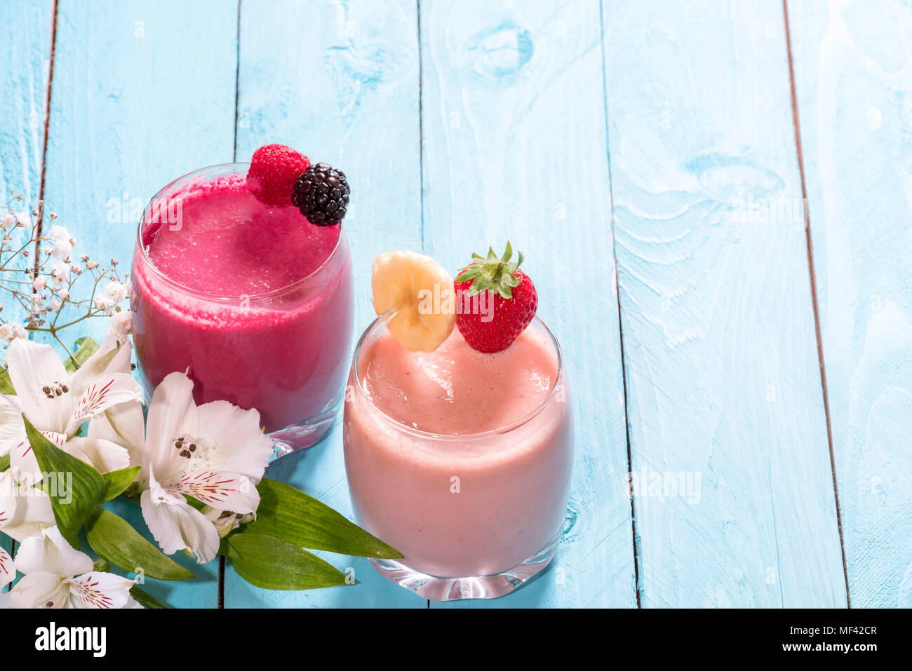 Frühstück mit einem Glas frischen Banane und Erdbeere Smoothie, eines mit Himbeere und Waldbeeren, in der Nähe von weißen Blüten auf blauem Hintergrund. Stockfoto