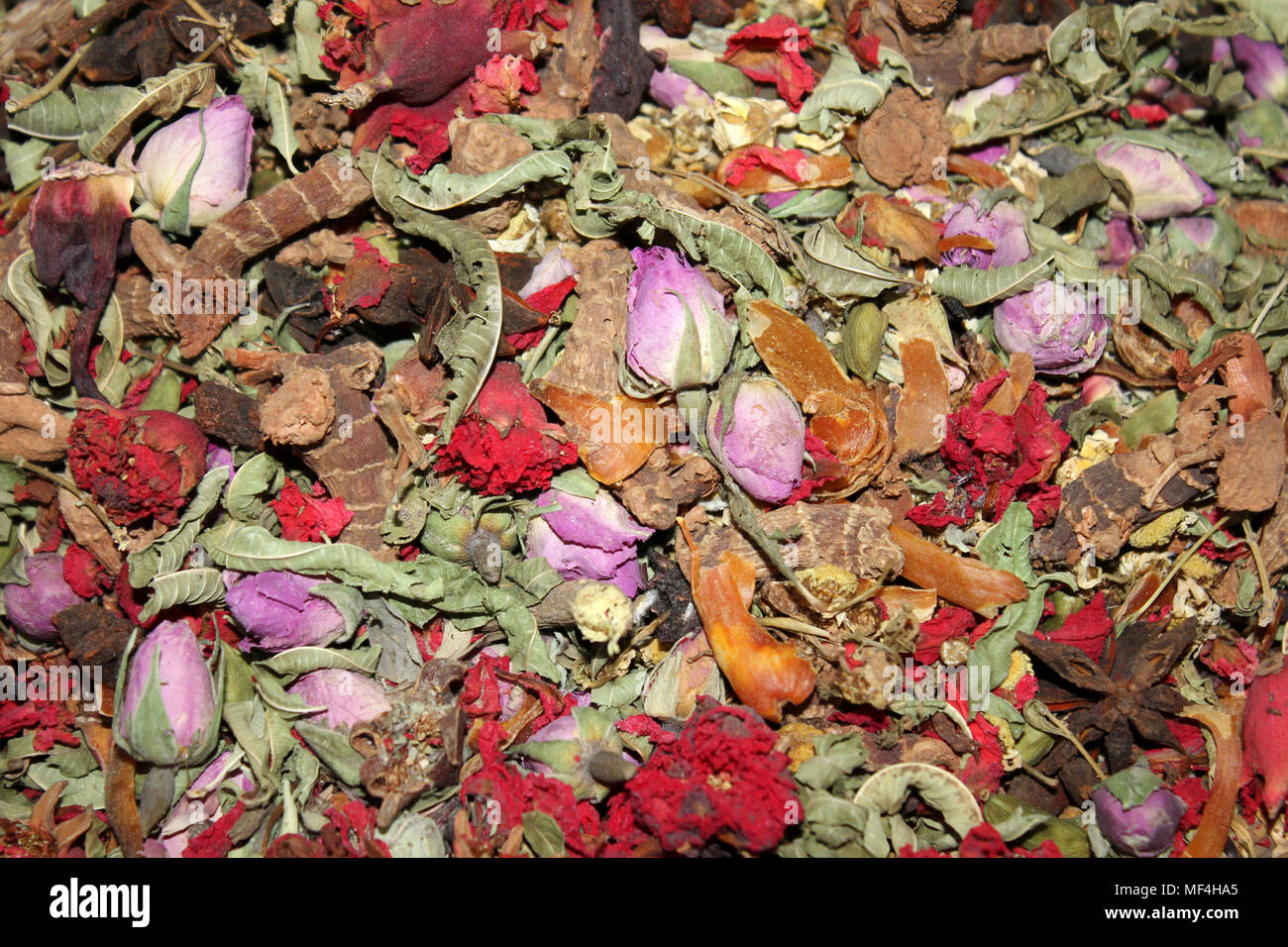 Mischung der getrockneten Rose Blumen und Berber Viagra alias Khoudenjal oder "Marokkanische Viagra" Stockfoto