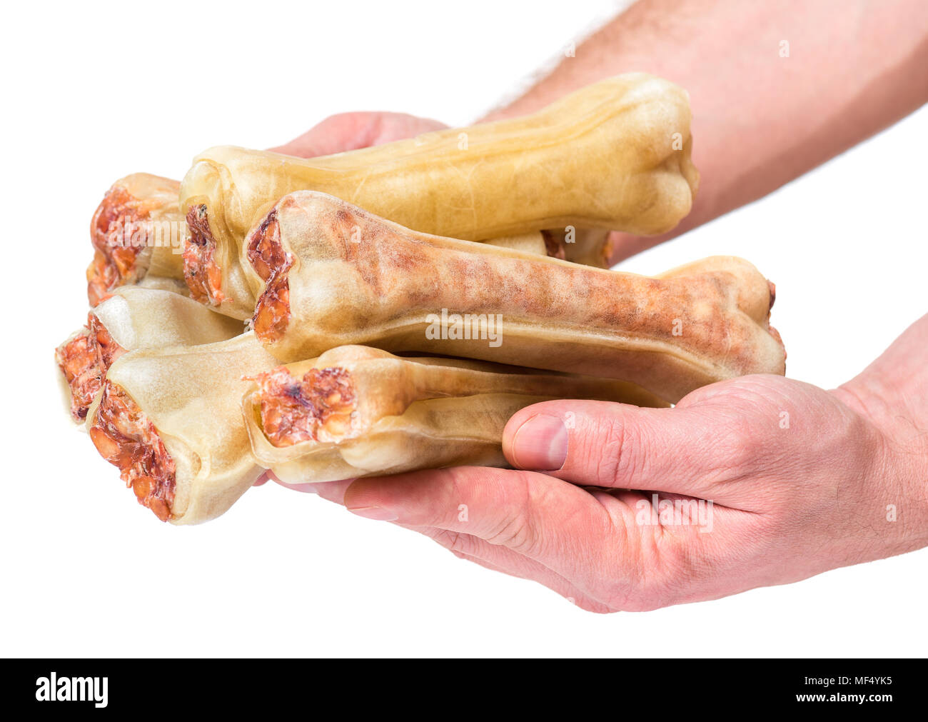 Hand mit Hund Knochen Stockfoto